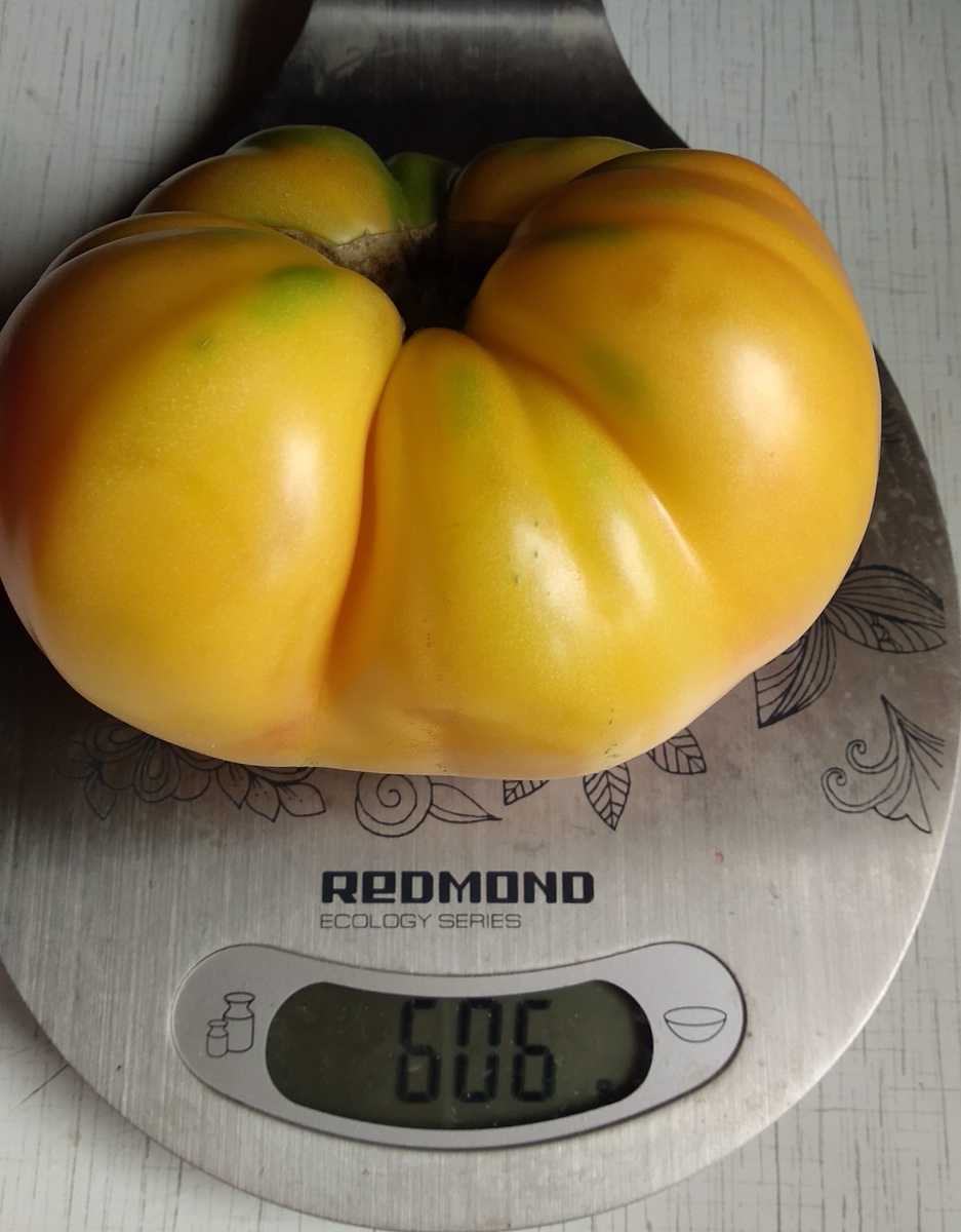 Загадка природы