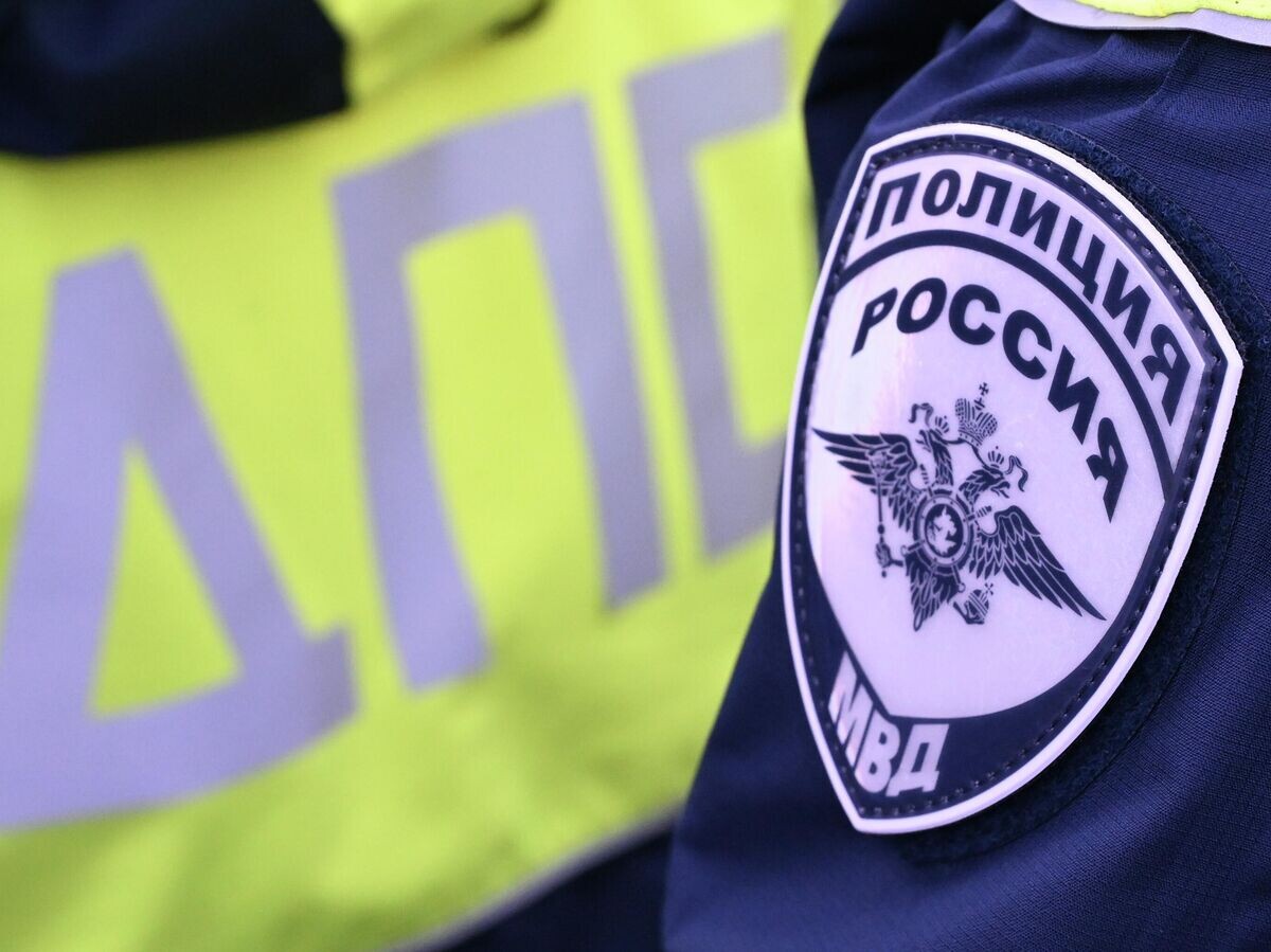    Шеврон сотрудника Госавтоинспекции МВД | © РИА Новости / Максим Богодвид