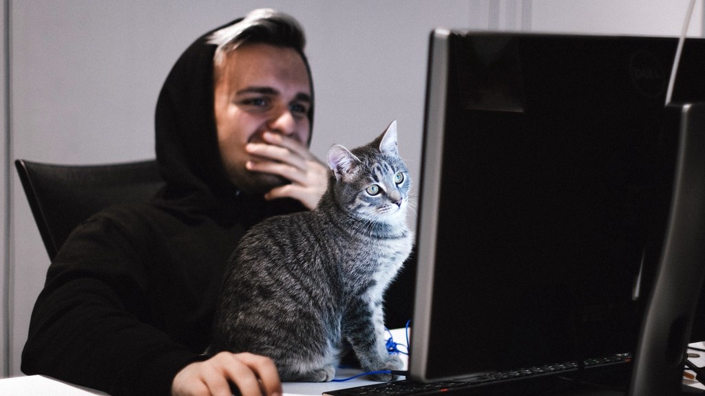    Фото © Unsplash.com