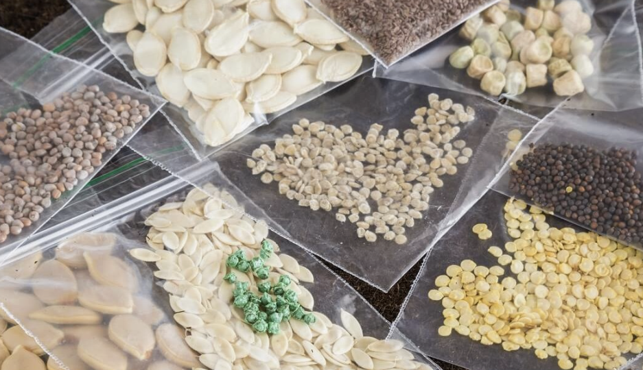 5 натуральных стимуляторов для семян: всходят быстрее, растут крепче и без химии