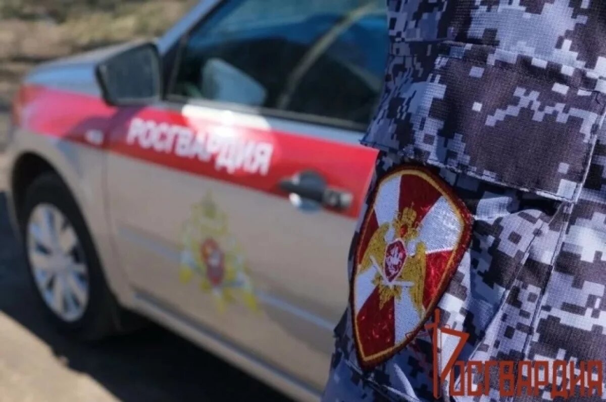    Сотрудники Росгвардии за неделю изъяли у туляков 29 единиц оружия