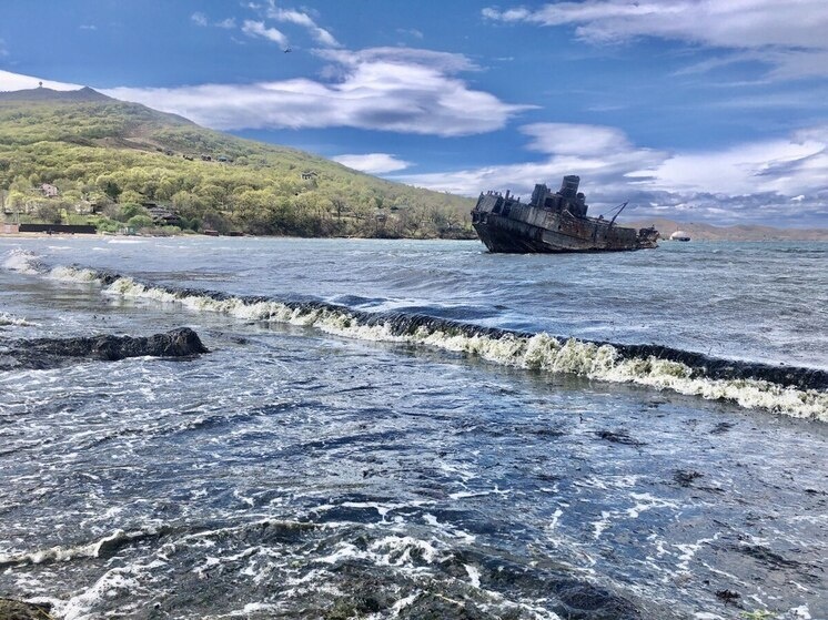  Алла Шпарейчук