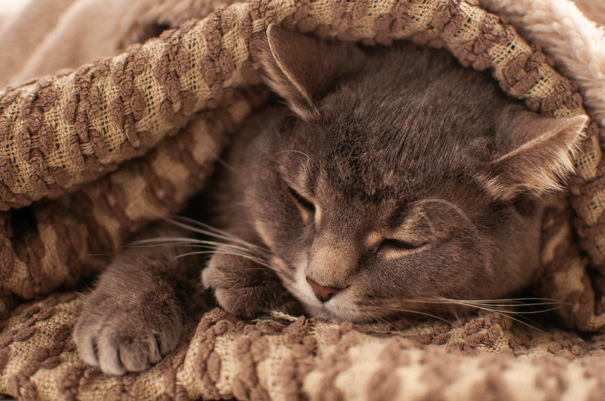 Личное фото