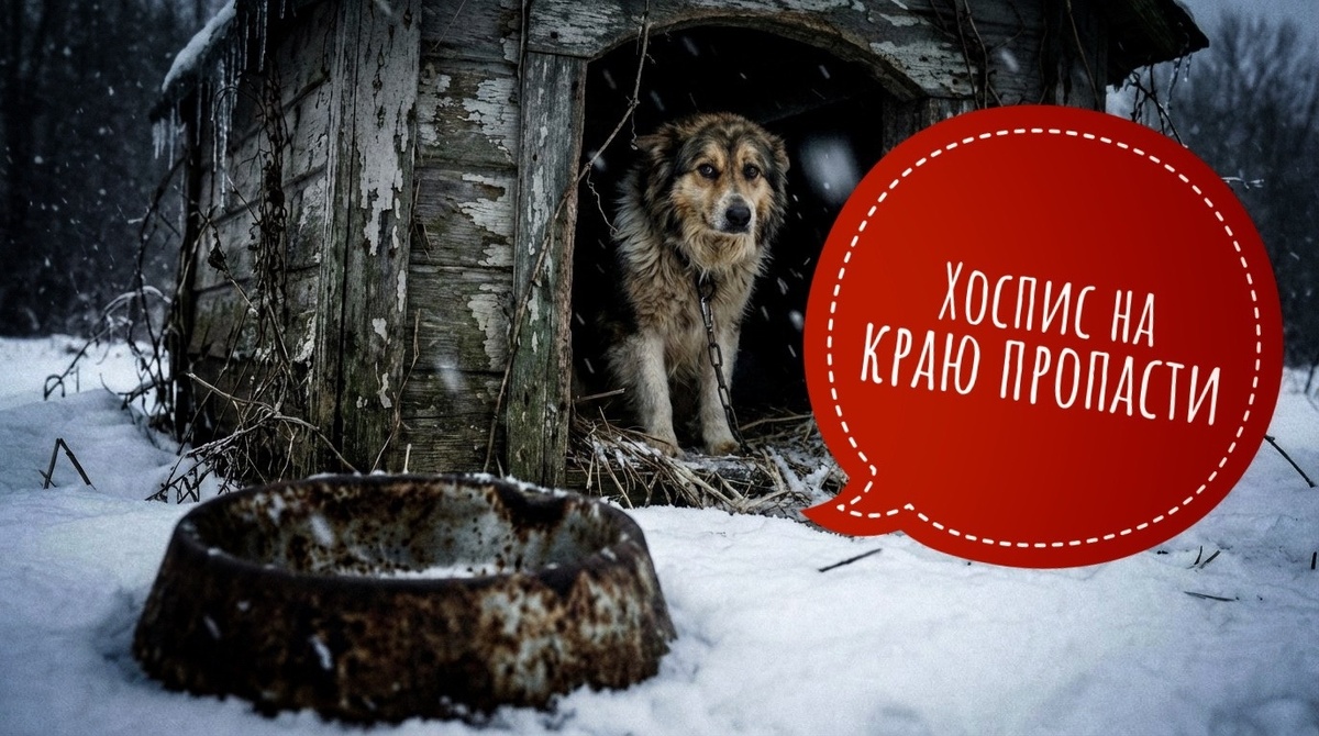 Хоспис на краю пропасти! Нечем платить аренду!