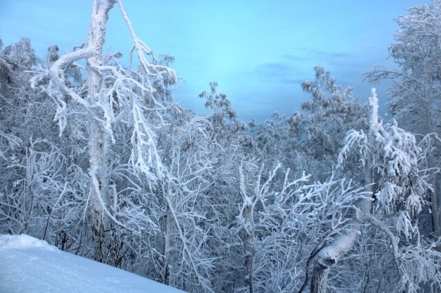    Фото: АиФ/ Евгения Гаева