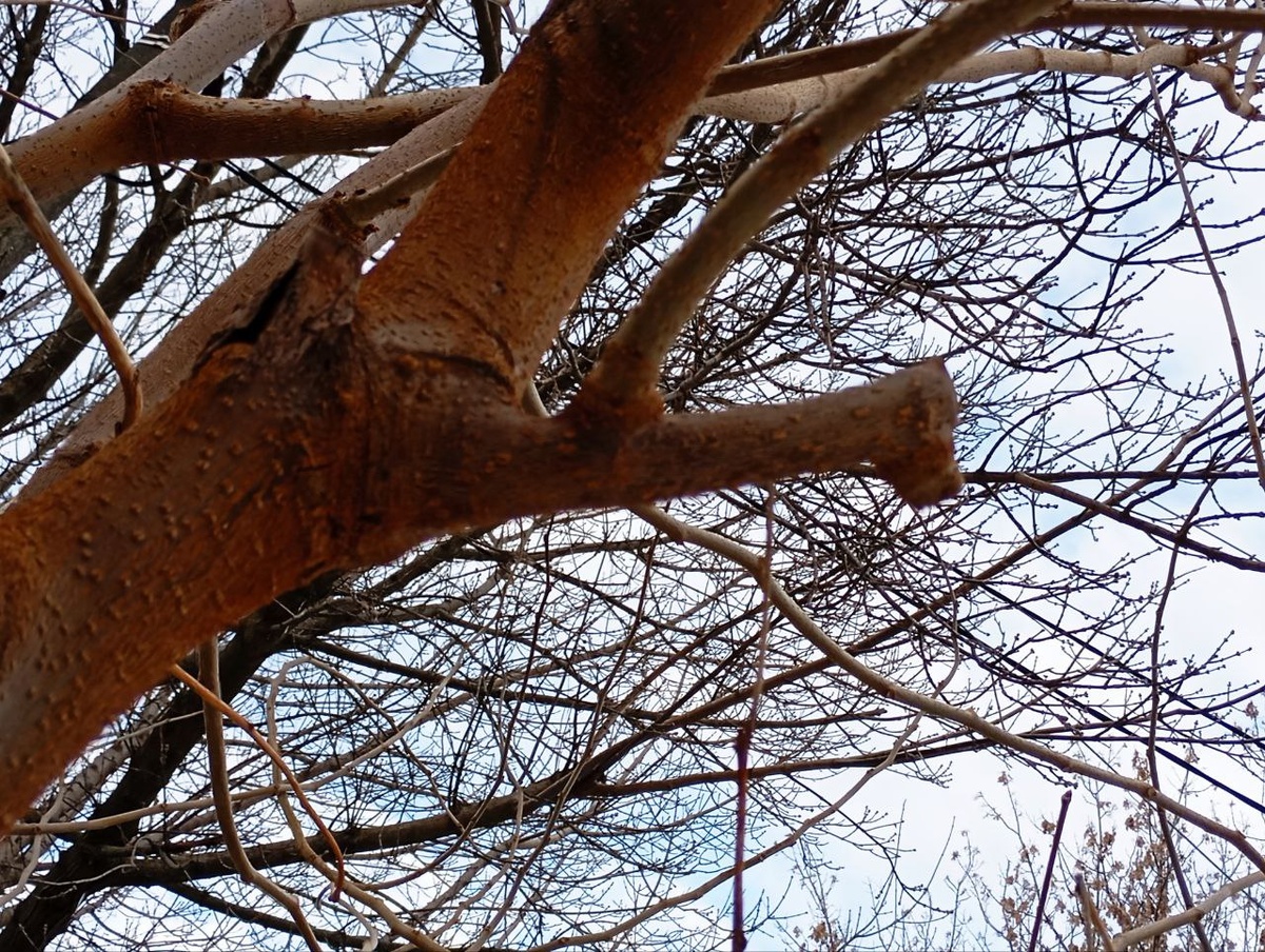 Фото: Александр МАСЛЯНИК.