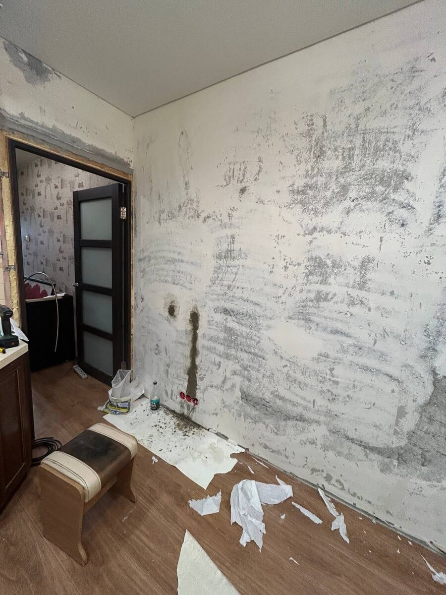 Процесс начался