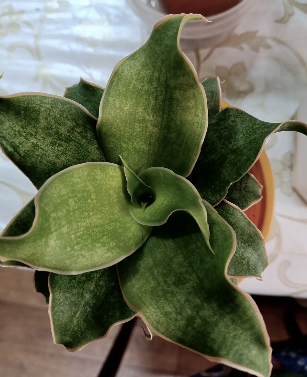 Фото из интернета 