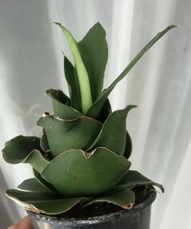 Фото из интернета 