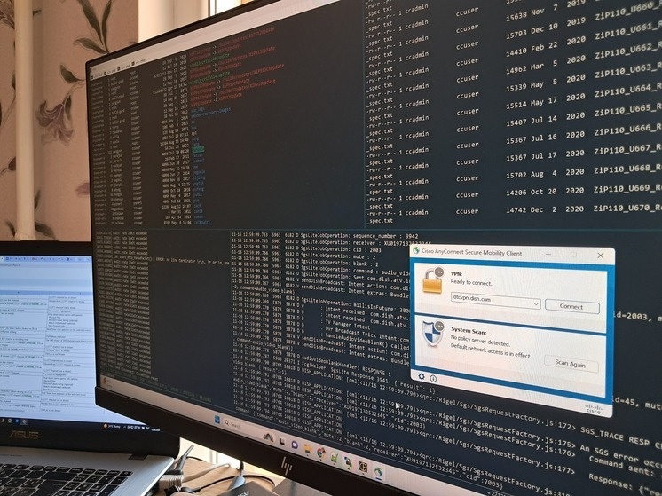    Заходить в маркетплейс стоит только через официальный сайт или приложение. Фото: архив МК в Питере