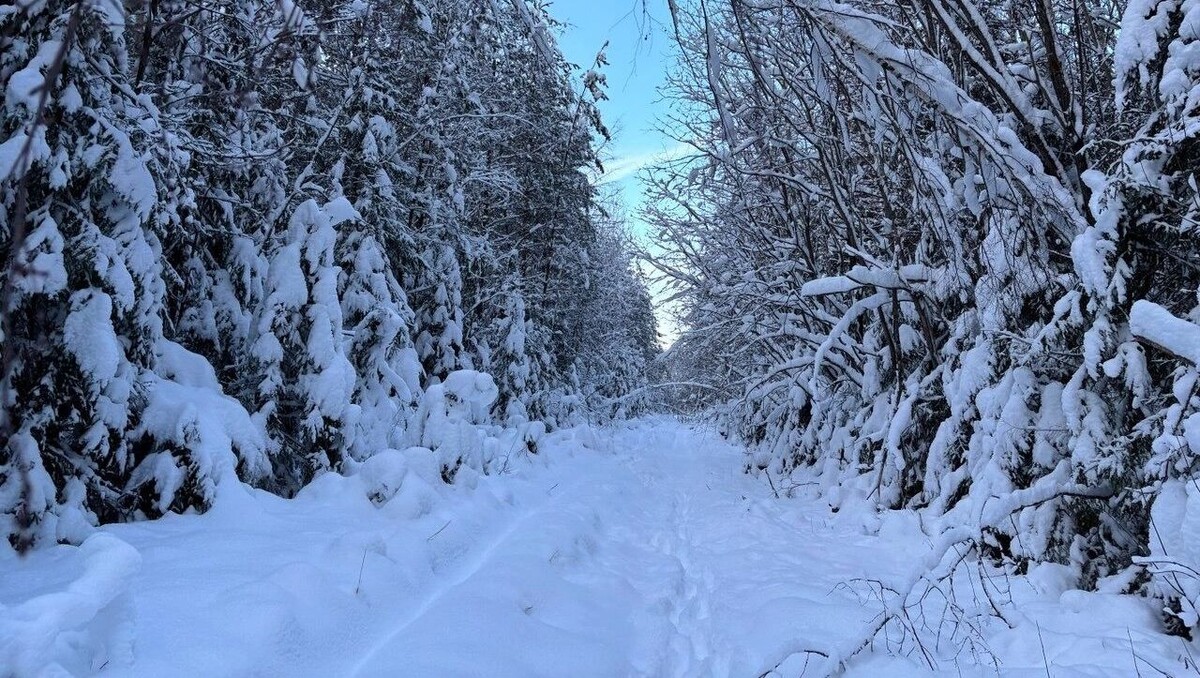    Почему зима 2025–2026 гг. выдалась аномальной в Нижегородской области   newsnn.ru