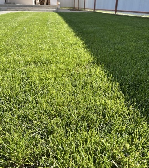 А не прикрутить ли к бане бассейн ?