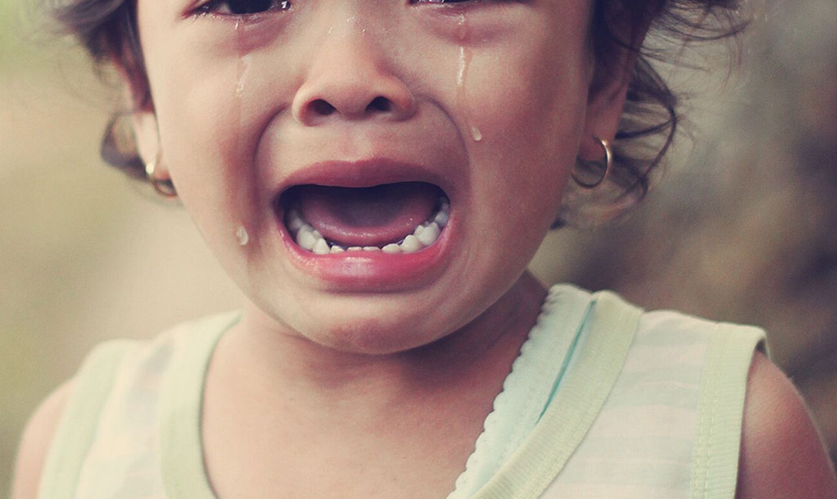 Фото носит иллюстративный ххарактер: открытые источники