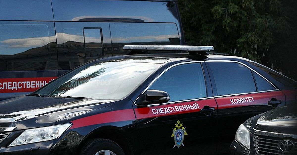 Фото носит иллюстративный характер: sledcom.ru