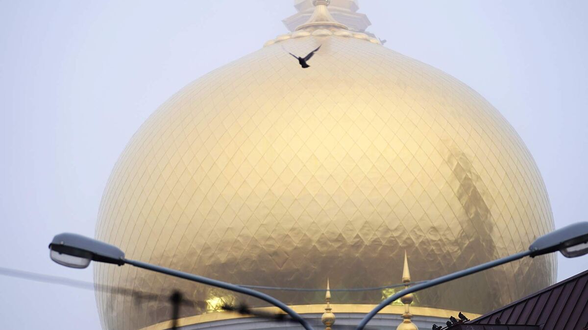 Фото: ИЗВЕСТИЯ/Сергей Лантюхов