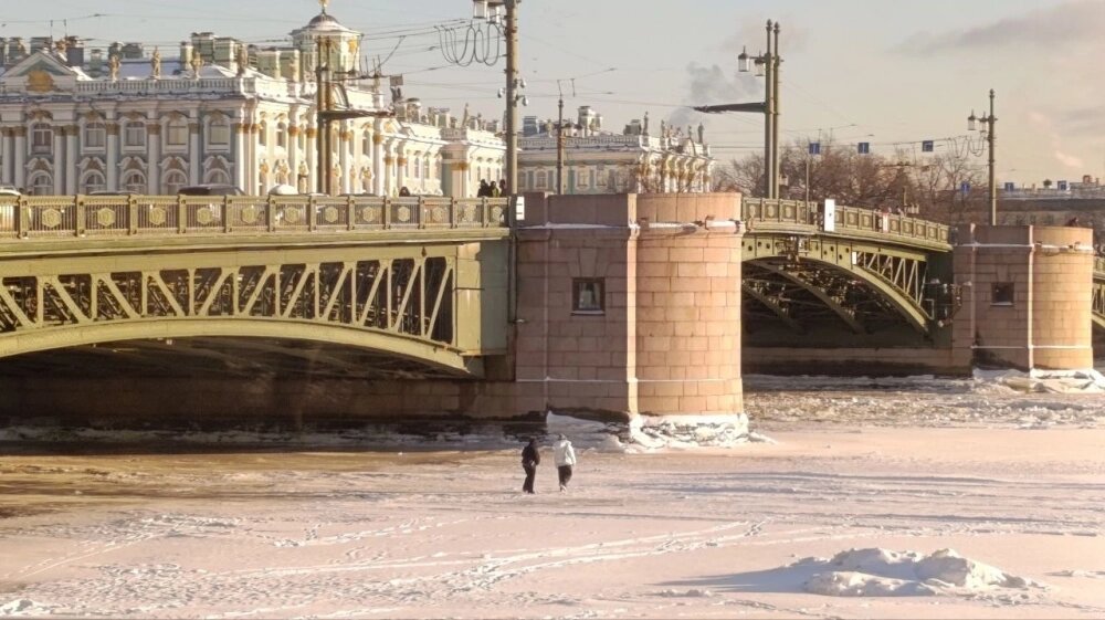    Фото: spb.aif.ru/ Татьяна Швецова