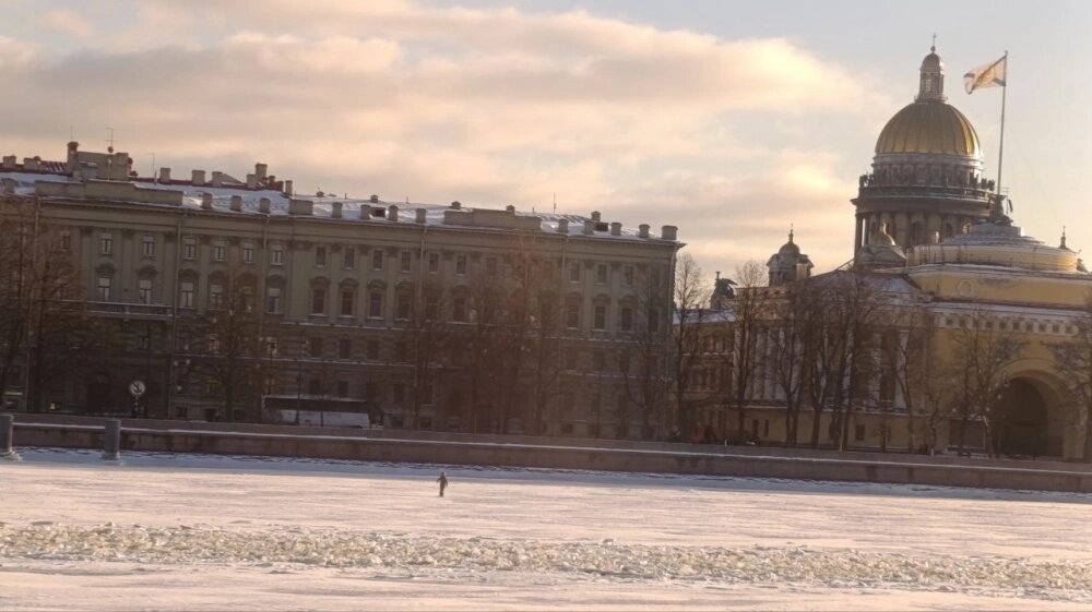    Фото: spb.aif.ru/ Татьяна Швецова