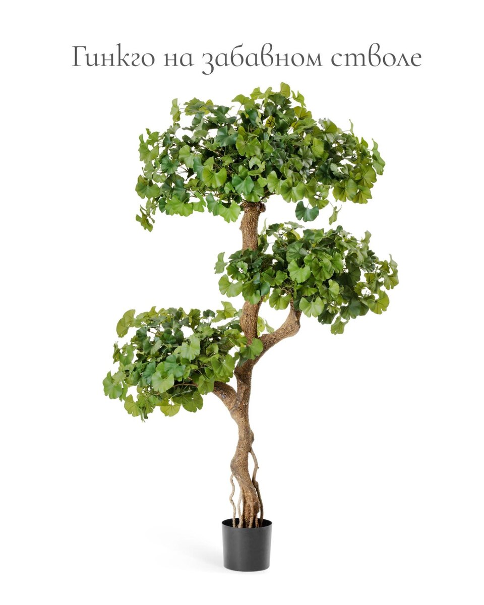 Кашпо и растения TREEZ Collection