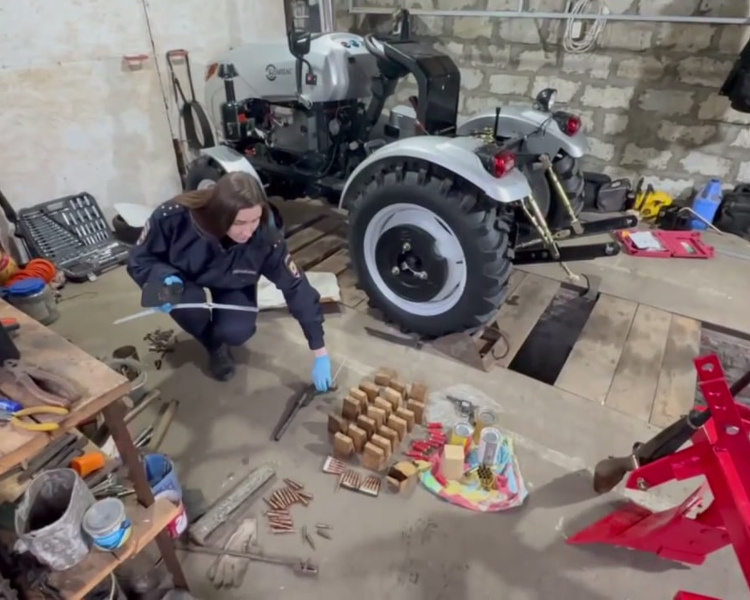     В Железногорске у 66-летнего мужчины в гараже нашли оружие и боеприпасы