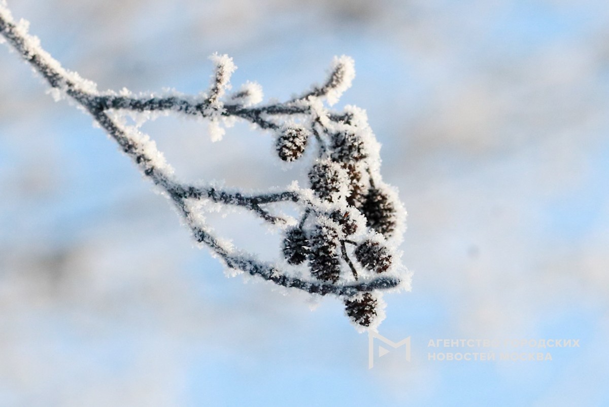 Фотограф: Василий Кузьмичёнок