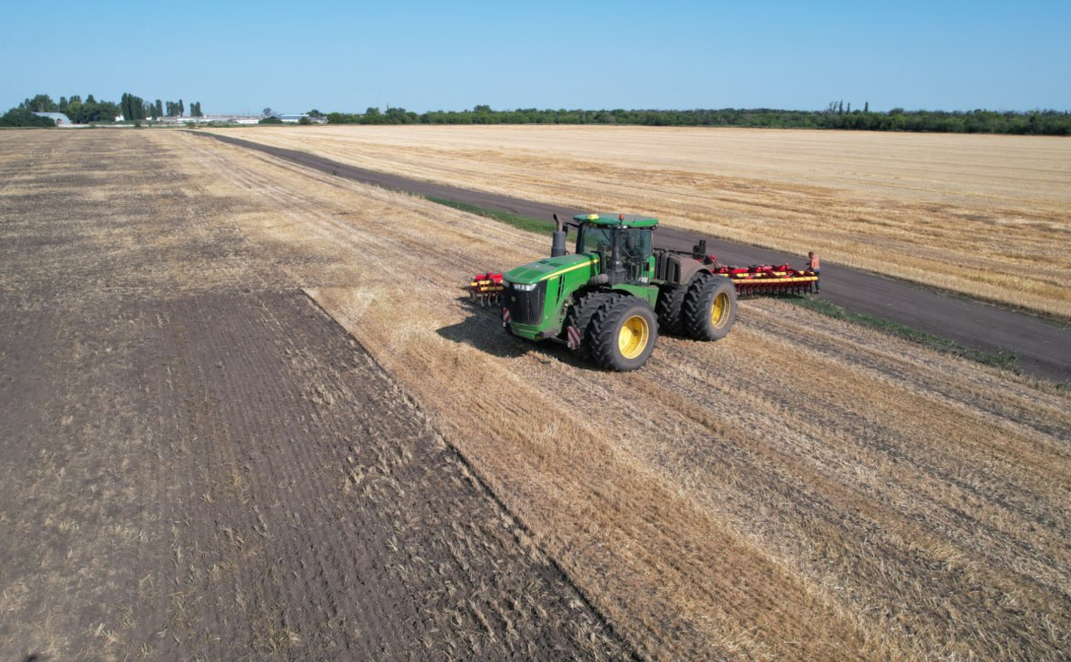 Фото: РБК Черноземье