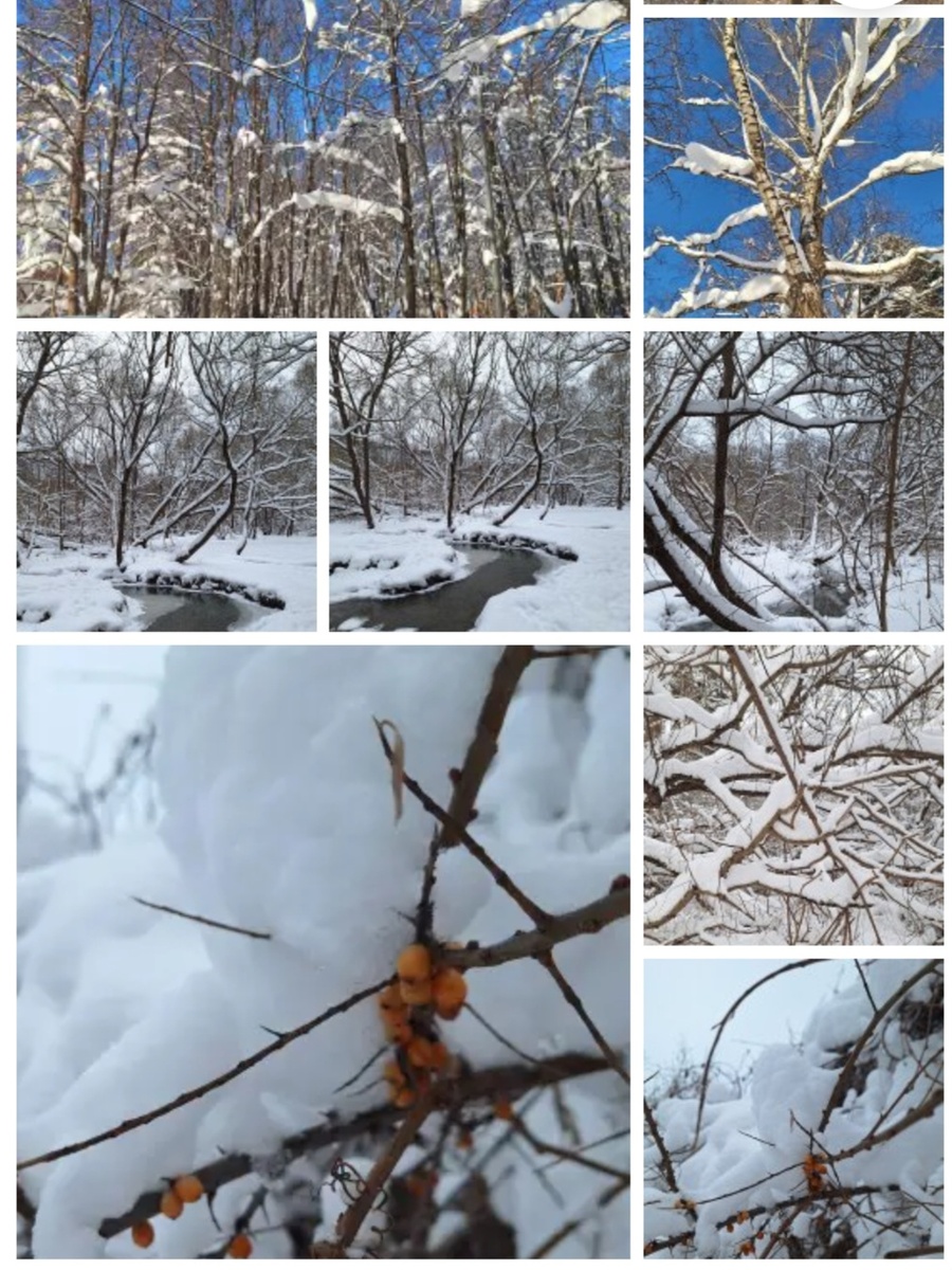 Фотоколлаж - собственность автора канала "ТАК НАДО".