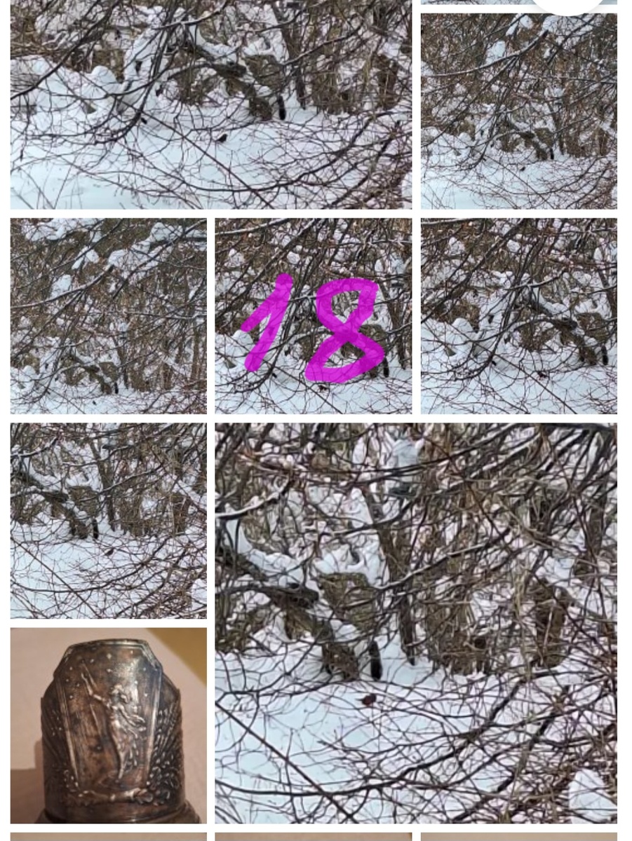 Фотоколлаж - собственность автора канала "ТАК НАДО".