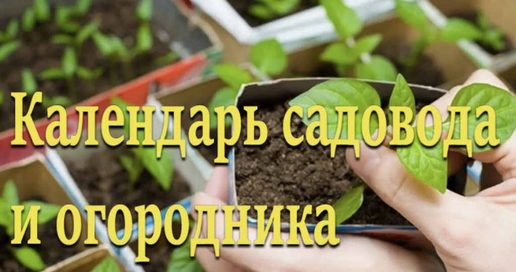 Почему старые календари посадки больше не работают и подводят даже опытных дачников 🌱
