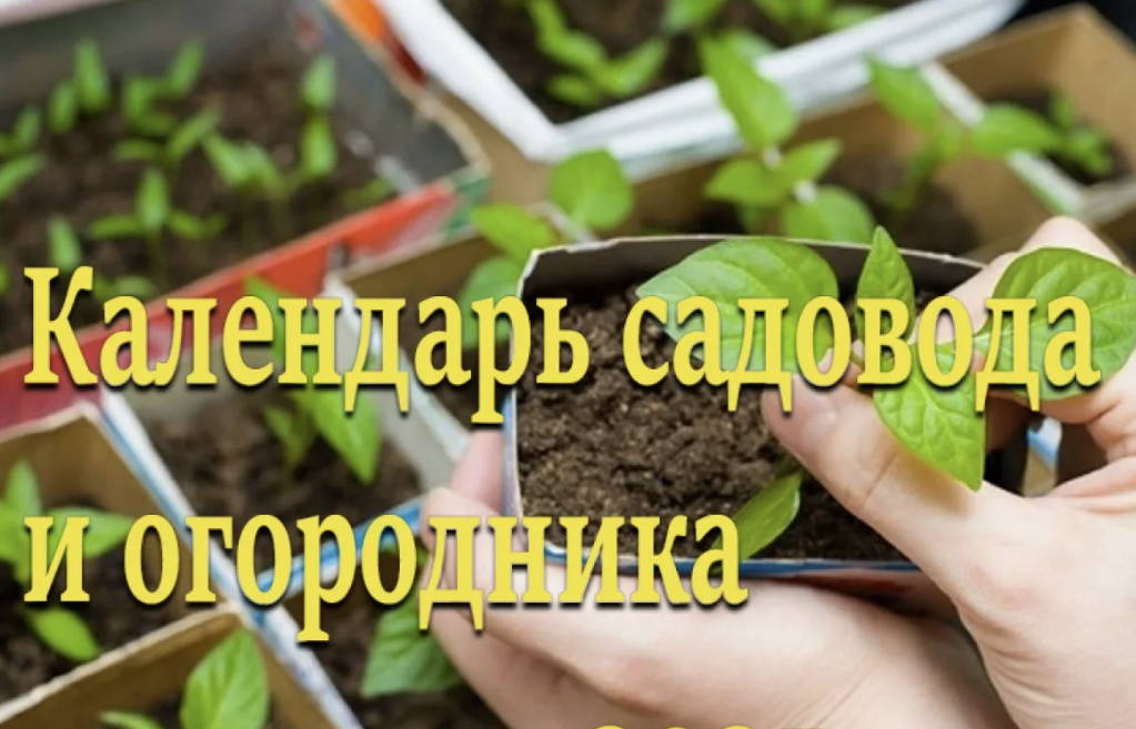 Почему старые календари посадки больше не работают и подводят даже опытных дачников