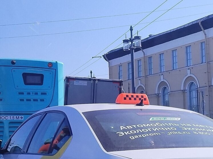     Система позволит автоматизировать оформление документов, ускорить обработку заявлений, отслеживать ситуацию на дорогах в реальном времени и повысить безопасность перевозок. Фото из архива "МК в Питере"