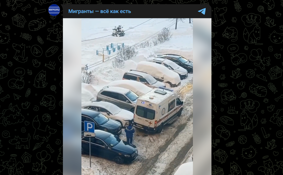 Фото: Telegram-канал "Миграты - всё как есть"