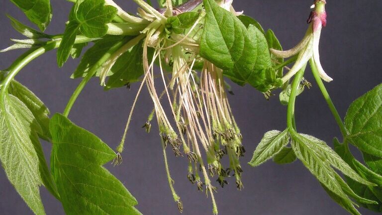    фото: © РИА Новости, архивное фото