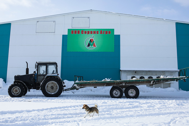    С 3 февраля этого года Каримов перестал занимать должность директора в Агрофирме «Кырлай».   
Фото: «БИЗНЕС Online»