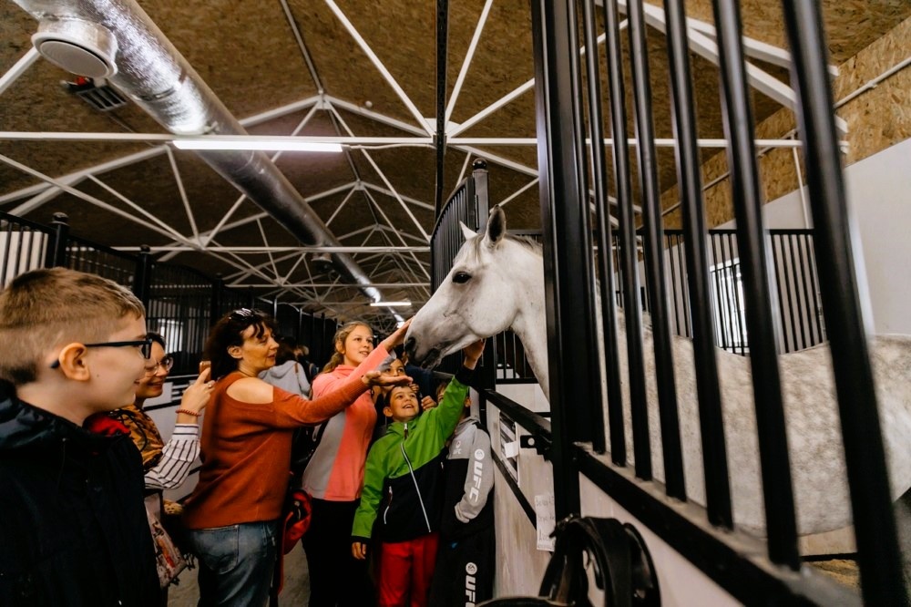 На экскурсии в конно-спортивном парке "Клевер"