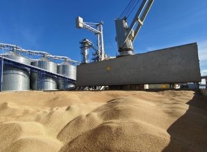 Фото пресс-службы ЦОК АПК