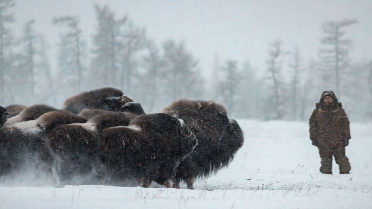    Фото: Сергей Зубков/«Ямал-Медиа»