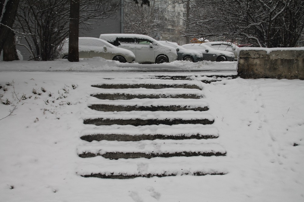 Фото Артема Илошваи, dzen.ru