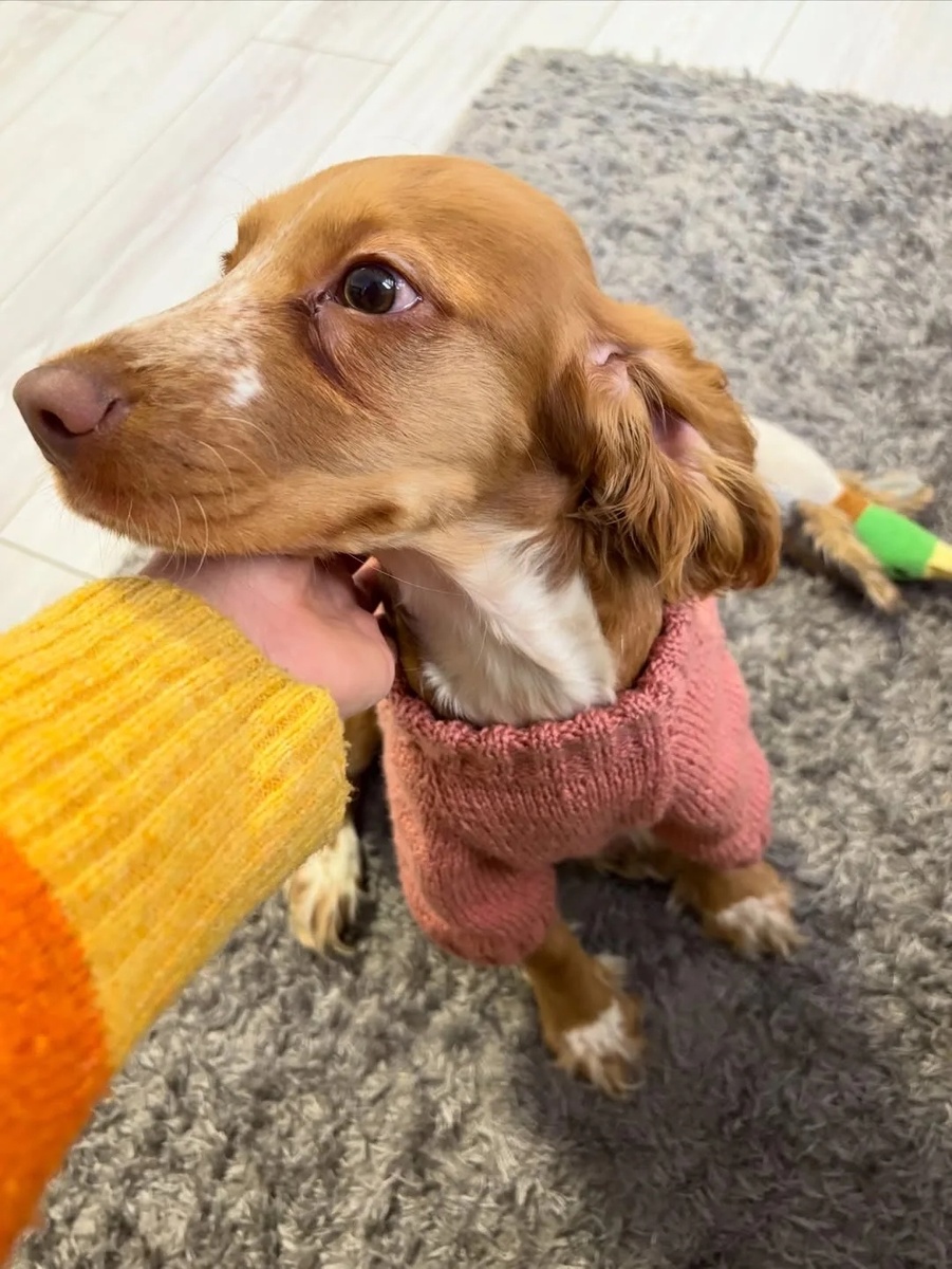 На заднем плане видно Утю - самая любимая игрушка