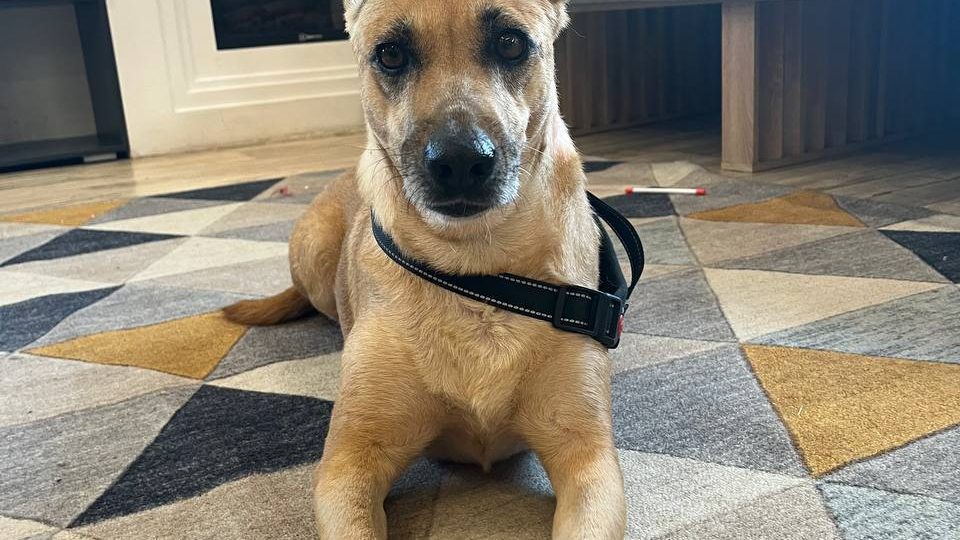 Окси очень нужна семья!