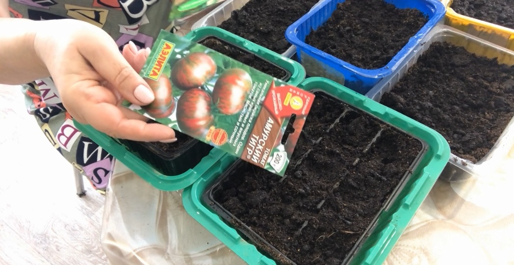 Сроки посева семян томатов на рассаду в 2026 году: