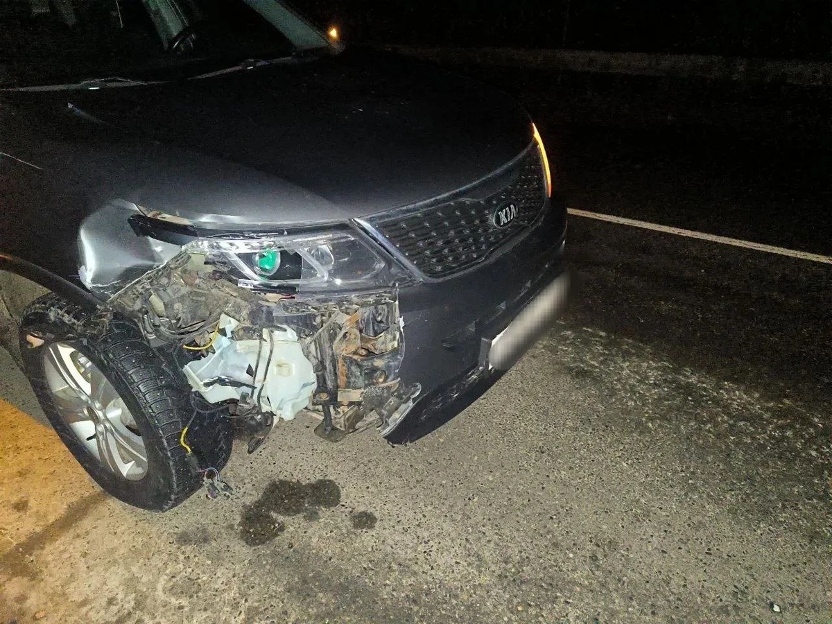    Фото: пресс-служба ГУ МВД по Краснодарскому краю