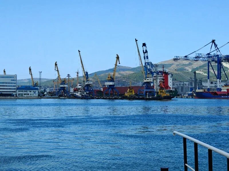    Фото: Юрий Серебренников/BFM Кубань