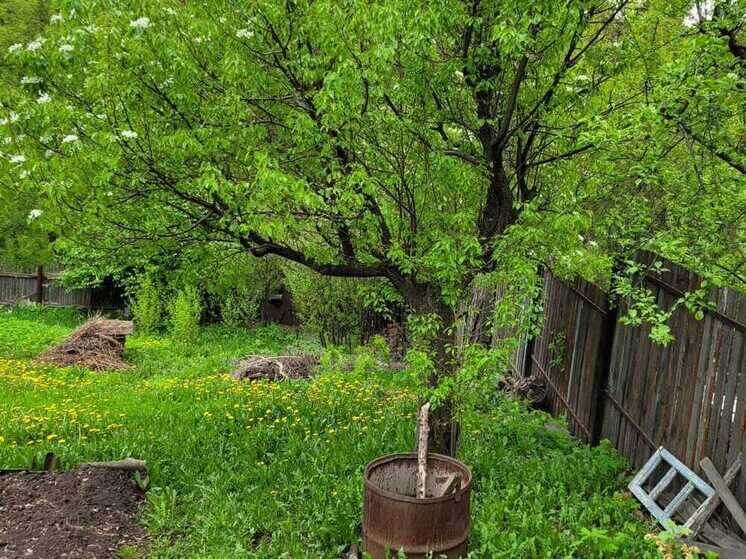     Фото: Елена Отмахова