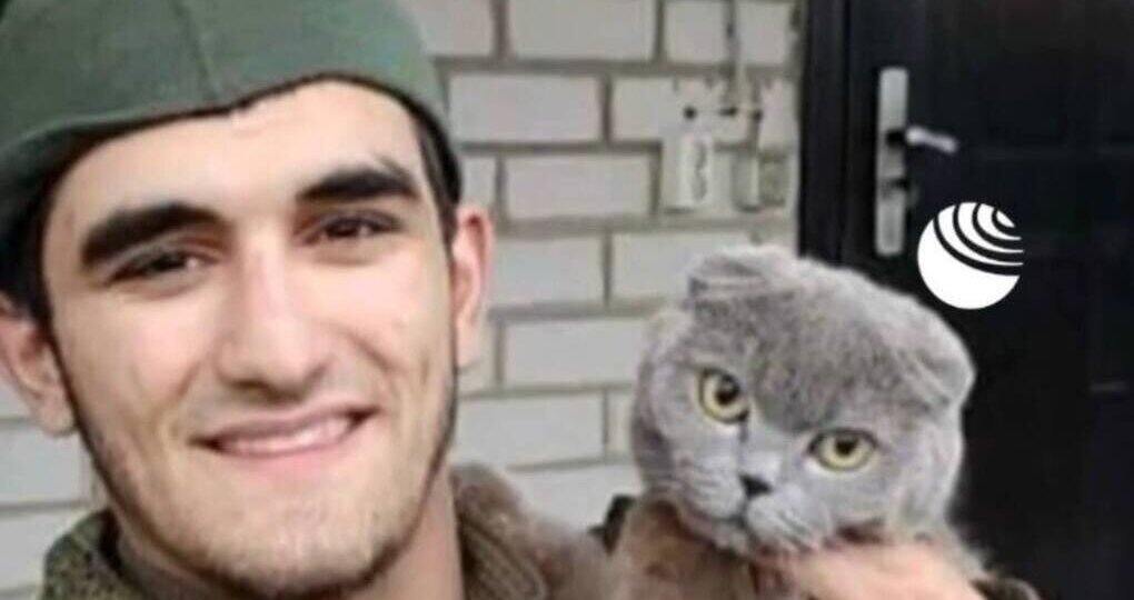 Ветеран СВО открыл в Махачкале приют для бездомных животных