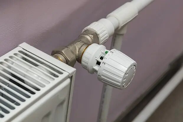    Фото: lenta.ru Дамир Макеев