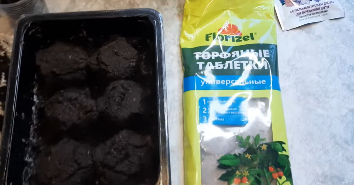 Торфяные таблетки.