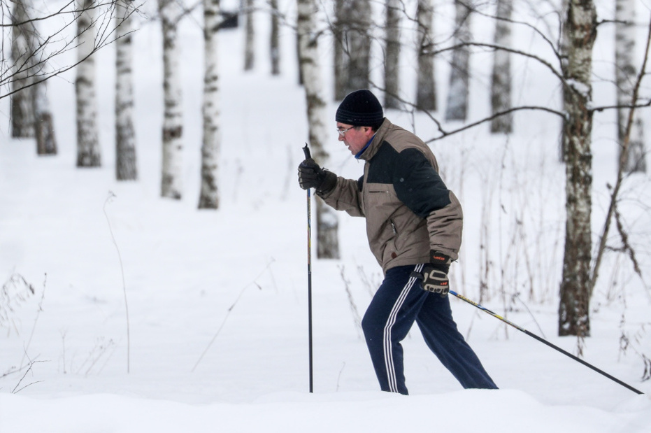    Сергей Булкин/NEWS.ru