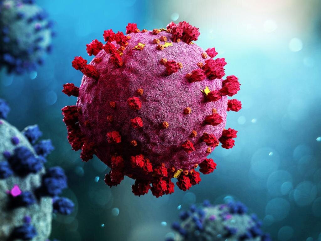 Фото: Pinterest.com