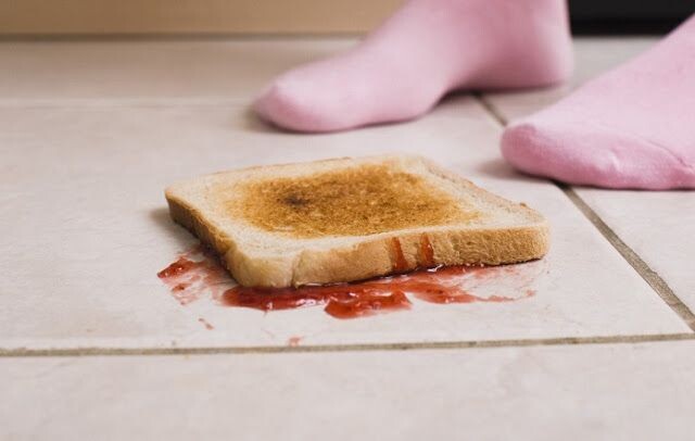 Работает ли правило пяти секунд для упавшего бутерброда? Вы удивитесь