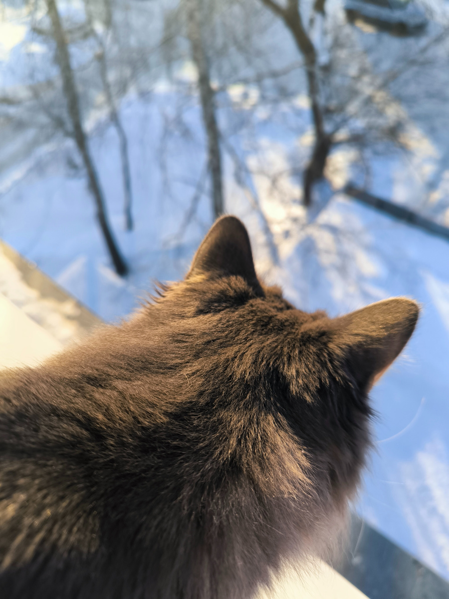 Баська... Все фотографии в статье авторские. 